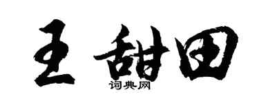 胡问遂王甜田行书个性签名怎么写