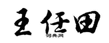 胡问遂王任田行书个性签名怎么写