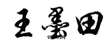 胡问遂王墨田行书个性签名怎么写