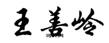胡问遂王善岭行书个性签名怎么写