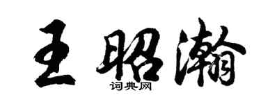 胡问遂王昭瀚行书个性签名怎么写