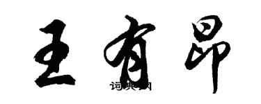 胡问遂王有昂行书个性签名怎么写