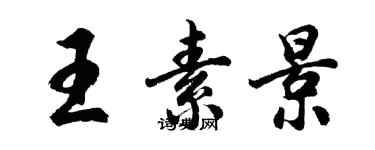 胡问遂王素景行书个性签名怎么写