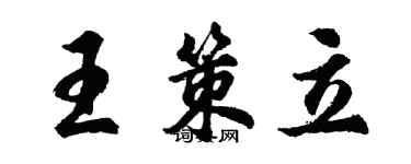 胡问遂王策立行书个性签名怎么写