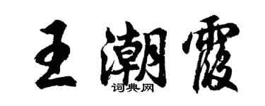 胡问遂王潮霞行书个性签名怎么写