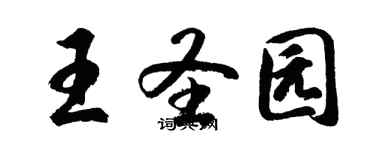 胡问遂王圣园行书个性签名怎么写