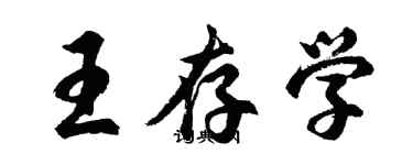 胡问遂王存学行书个性签名怎么写