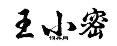胡问遂王小密行书个性签名怎么写