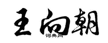 胡问遂王向朝行书个性签名怎么写