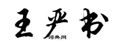 胡问遂王严书行书个性签名怎么写
