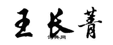 胡问遂王长菁行书个性签名怎么写