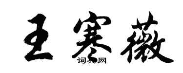 胡问遂王寒薇行书个性签名怎么写