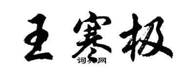 胡问遂王寒极行书个性签名怎么写