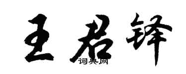 胡问遂王君铎行书个性签名怎么写