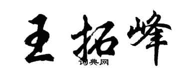胡问遂王拓峰行书个性签名怎么写