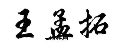 胡问遂王孟拓行书个性签名怎么写