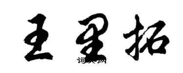 胡问遂王里拓行书个性签名怎么写