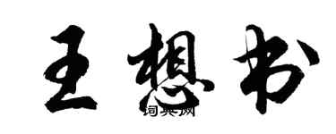 胡问遂王想书行书个性签名怎么写