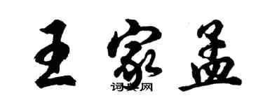 胡问遂王家孟行书个性签名怎么写
