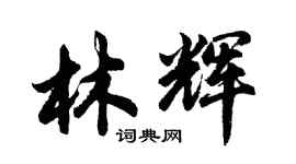 胡问遂林辉行书个性签名怎么写