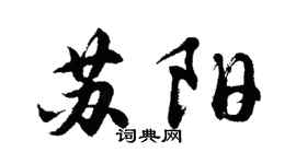 胡问遂苏阳行书个性签名怎么写