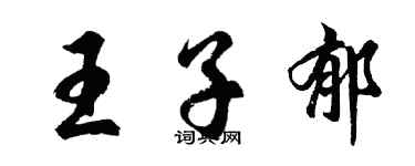 胡问遂王子郁行书个性签名怎么写