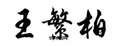 胡问遂王繁柏行书个性签名怎么写