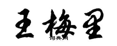 胡问遂王梅里行书个性签名怎么写