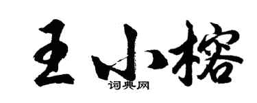 胡问遂王小榕行书个性签名怎么写