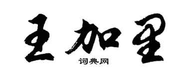 胡问遂王加里行书个性签名怎么写