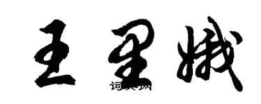 胡问遂王里娥行书个性签名怎么写