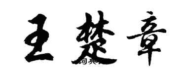 胡问遂王楚章行书个性签名怎么写