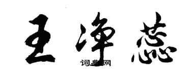 胡问遂王净蕊行书个性签名怎么写