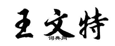 胡问遂王文特行书个性签名怎么写