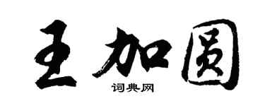 胡问遂王加圆行书个性签名怎么写