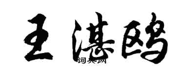 胡问遂王湛鸥行书个性签名怎么写
