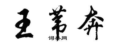 胡问遂王苇奔行书个性签名怎么写