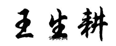胡问遂王生耕行书个性签名怎么写