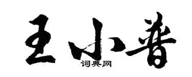 胡问遂王小普行书个性签名怎么写