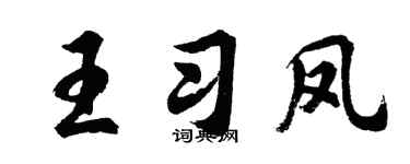 胡问遂王习凤行书个性签名怎么写