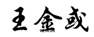 胡问遂王金或行书个性签名怎么写