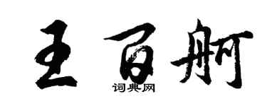 胡问遂王百舸行书个性签名怎么写