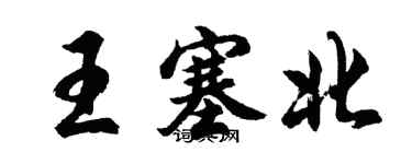 胡问遂王塞北行书个性签名怎么写