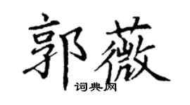 丁谦郭薇楷书个性签名怎么写