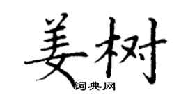 丁谦姜树楷书个性签名怎么写