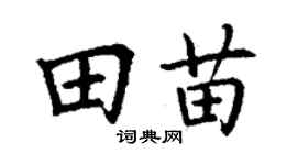 丁谦田苗楷书个性签名怎么写