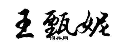 胡问遂王甄妮行书个性签名怎么写