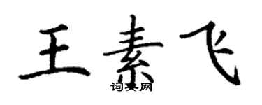 丁谦王素飞楷书个性签名怎么写