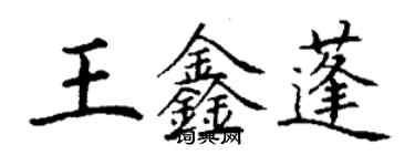 丁谦王鑫蓬楷书个性签名怎么写