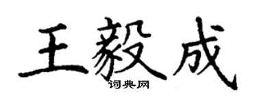 丁谦王毅成楷书个性签名怎么写